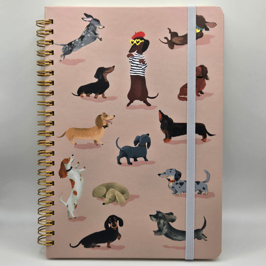 Notebook dachshund club