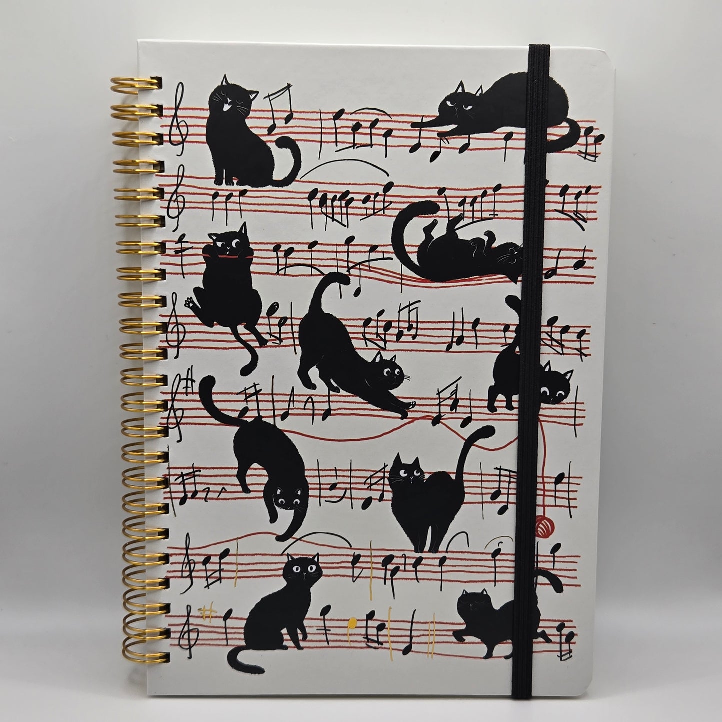 Notebook music sheet for kitten