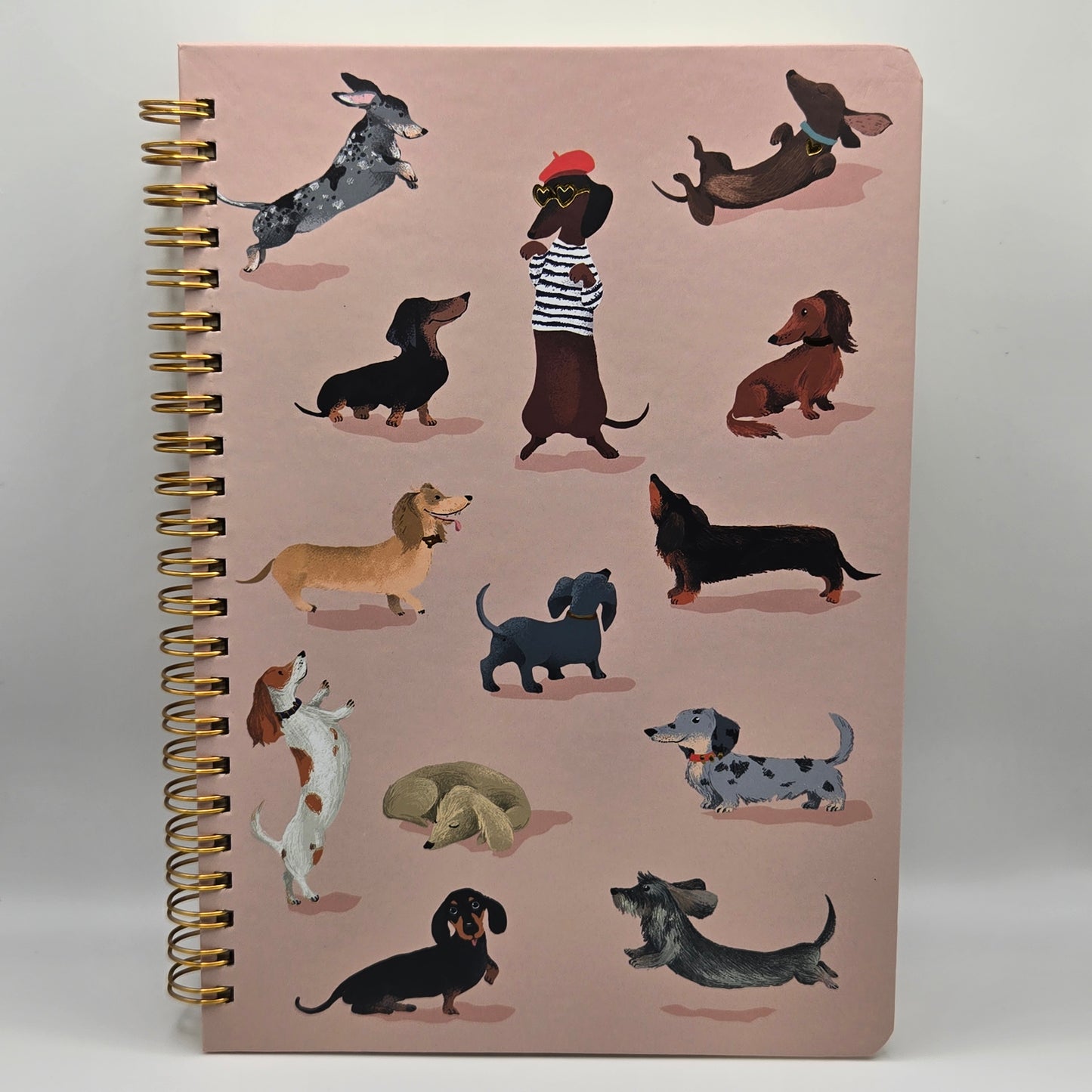 Notebook dachshund club