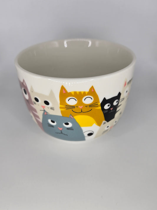 Cats bowl