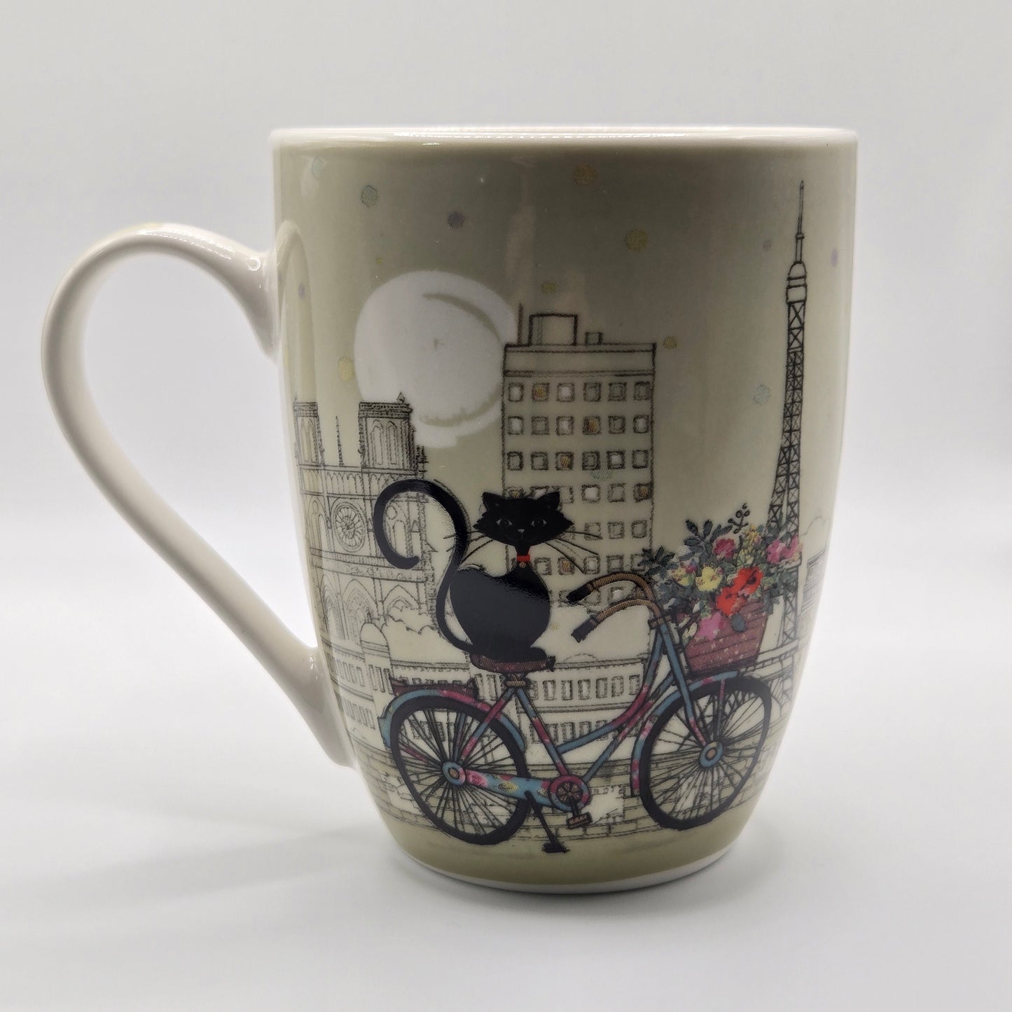 Mug cat on the bike