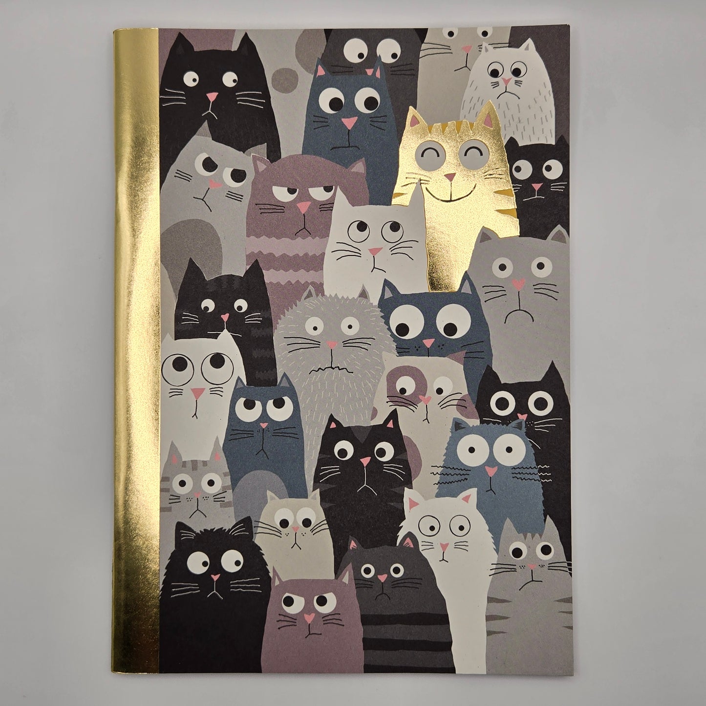 Notebook Funny cats